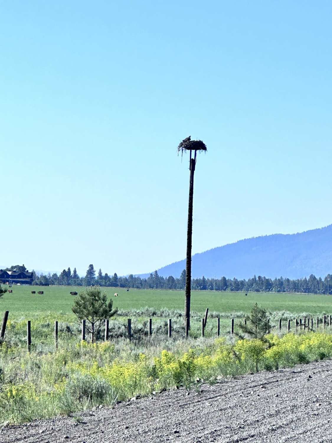 West Mountain Road
