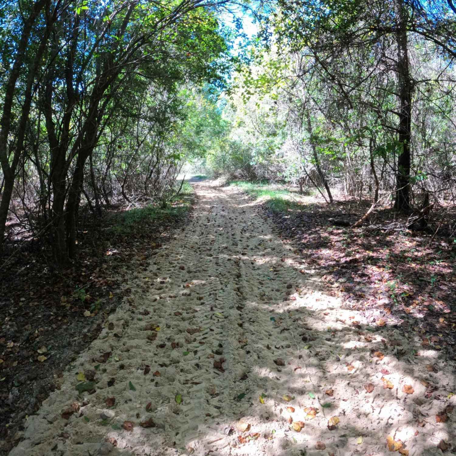 Fox Hollow