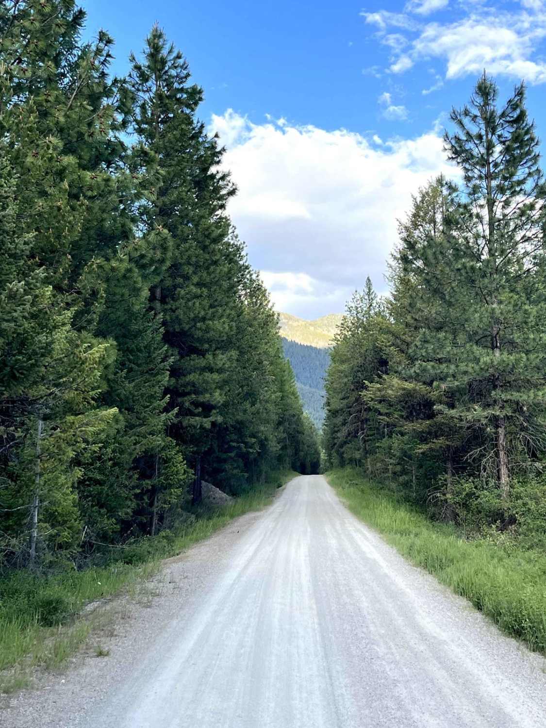 Upper Lion Creek - NF9769