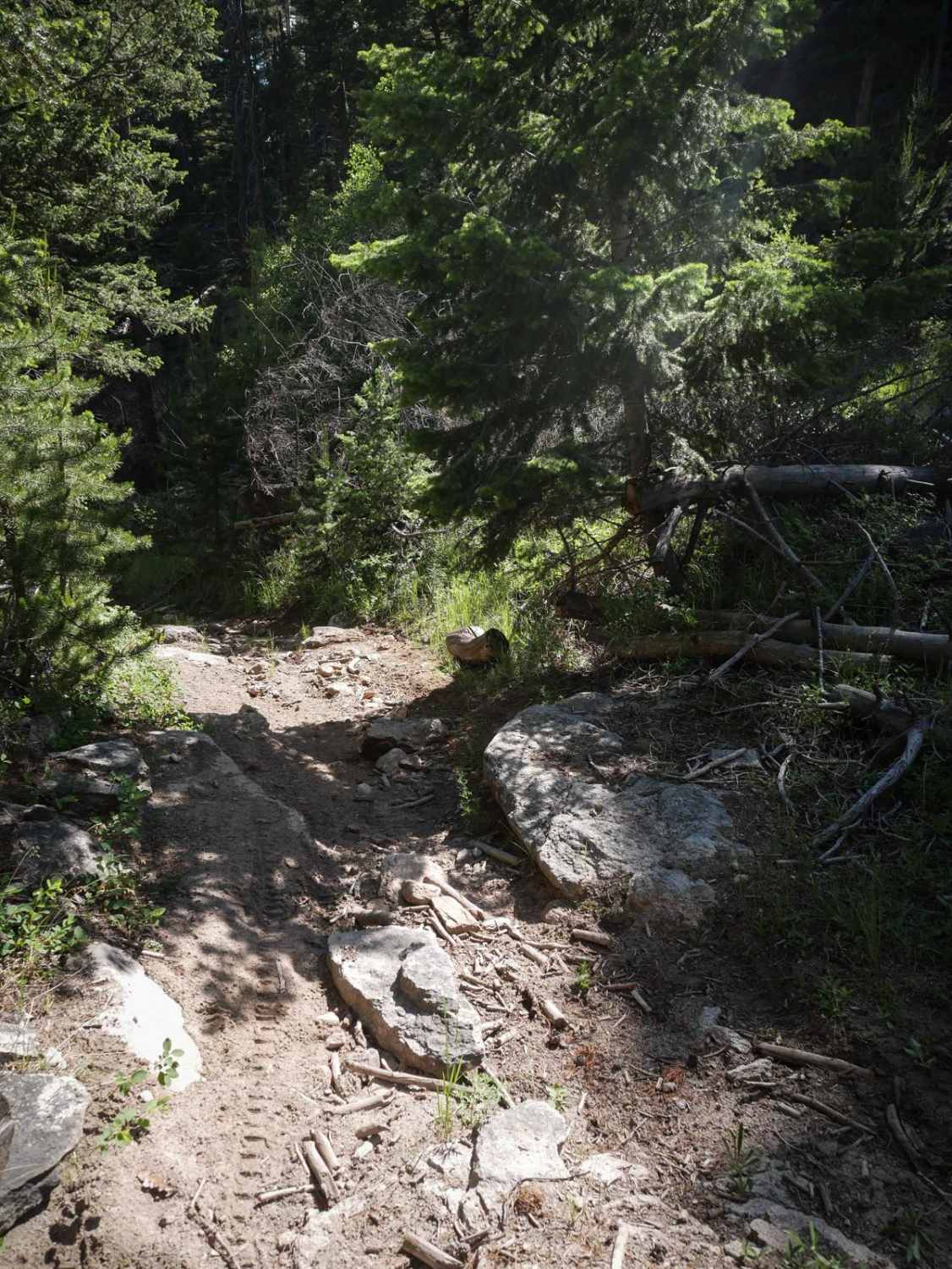 Lion Gulch 