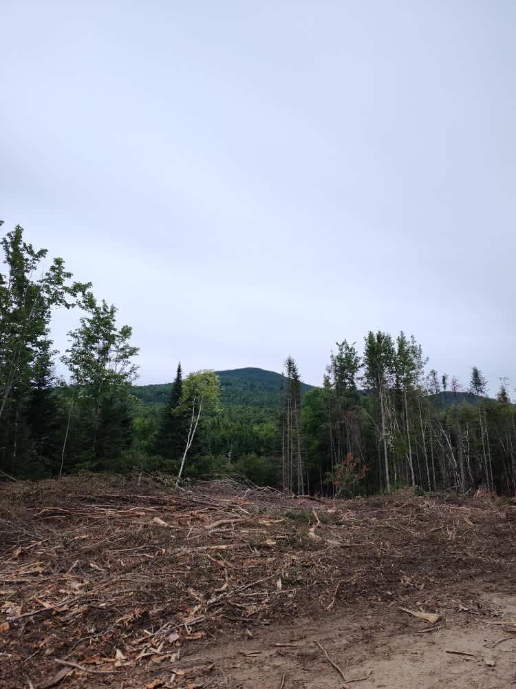 B52 Memorial Site - Elephant Mountain 
