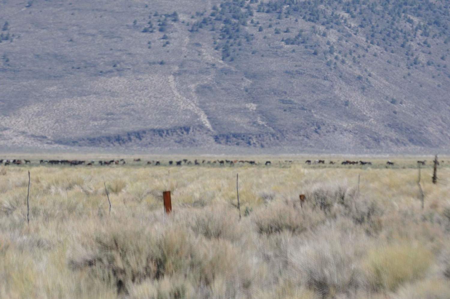 Adobe Valley to Little Huntoon Valley