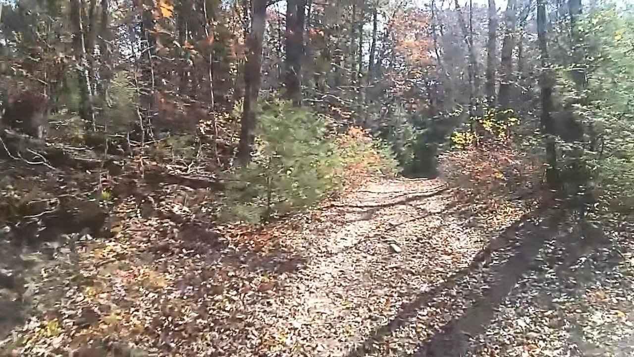 Wakefield Pond Road
