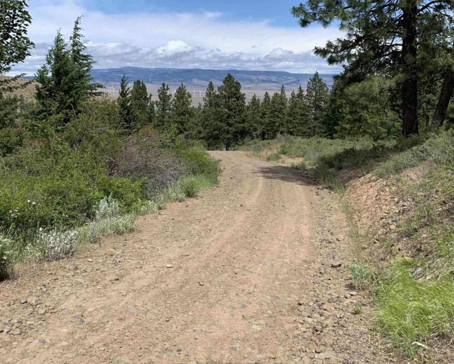 Tamarack Ridge Road