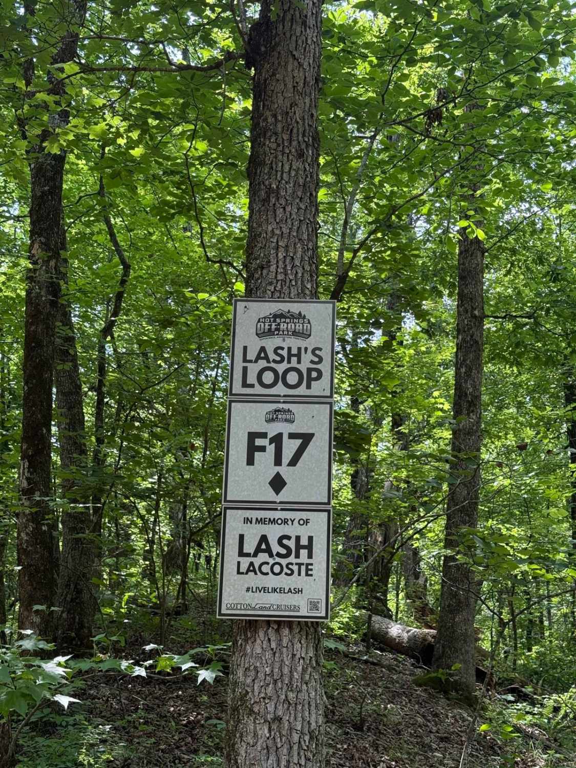 F17 Lash's Loop