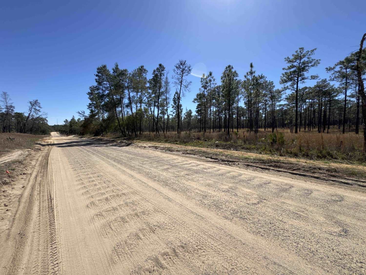 Telephone Trail South - ONF 69
