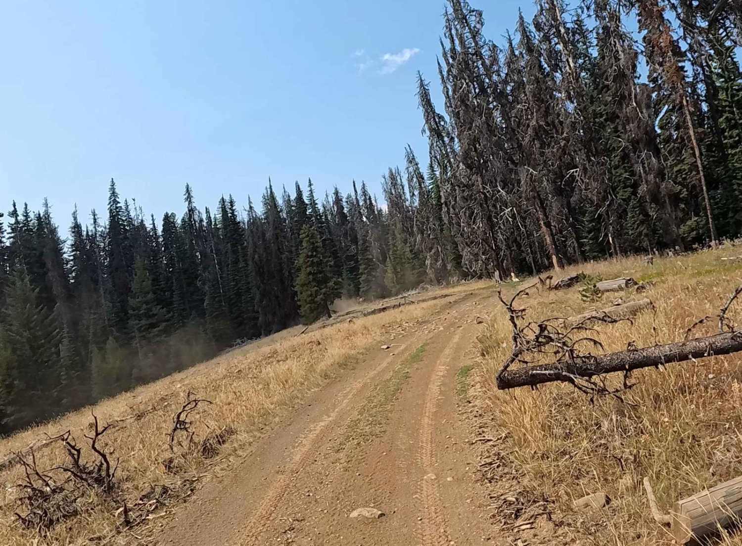 Hutchins Rd