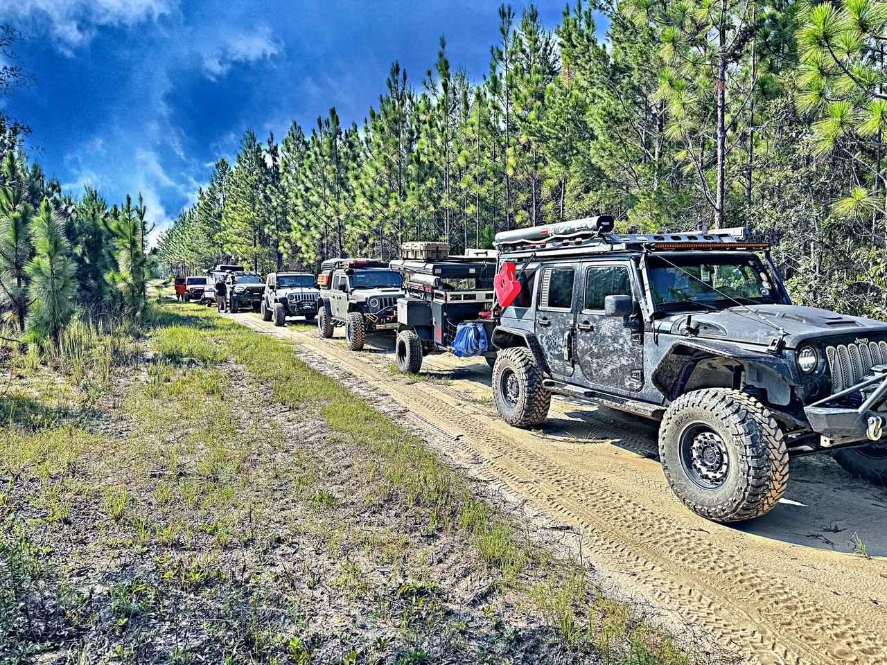 Swamp Tour