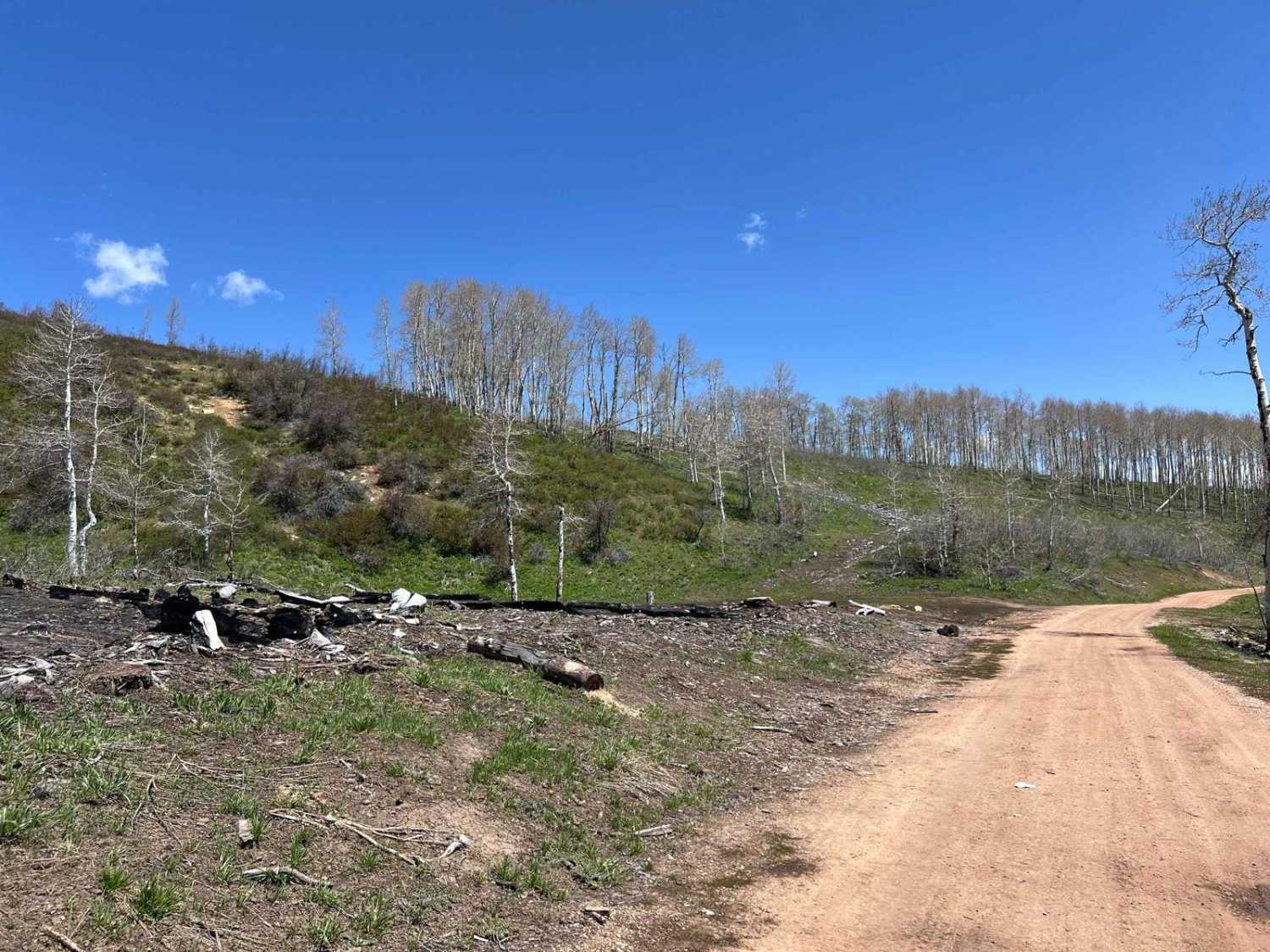Kweeyahgut Creek Road 