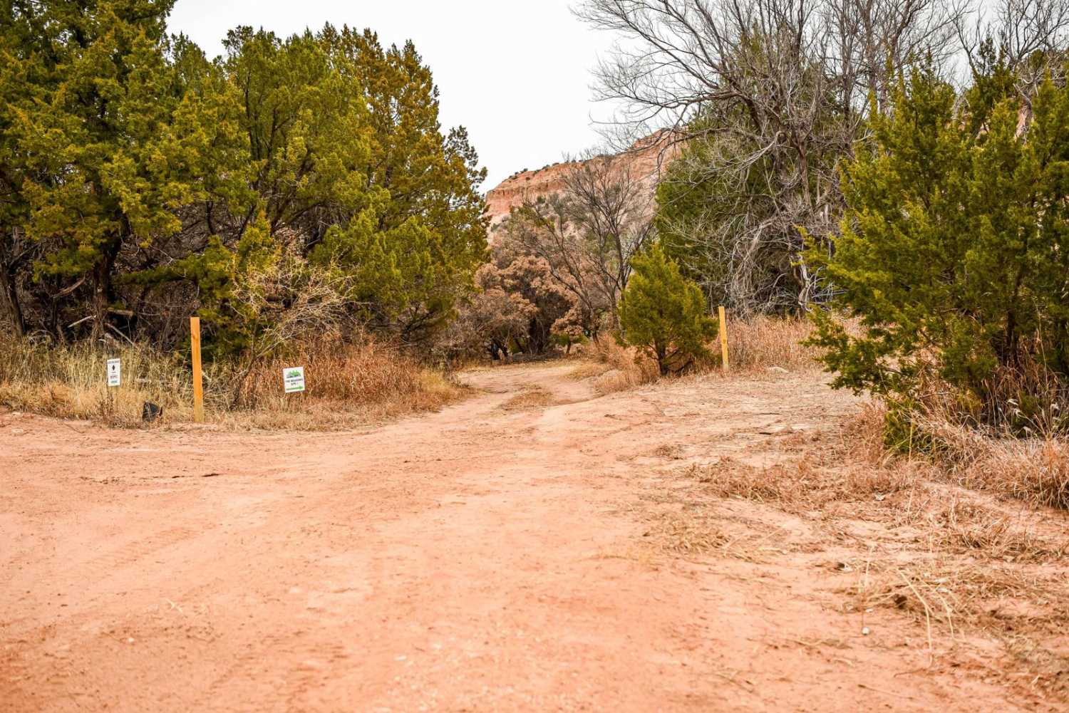 The Meadows Camp Trail