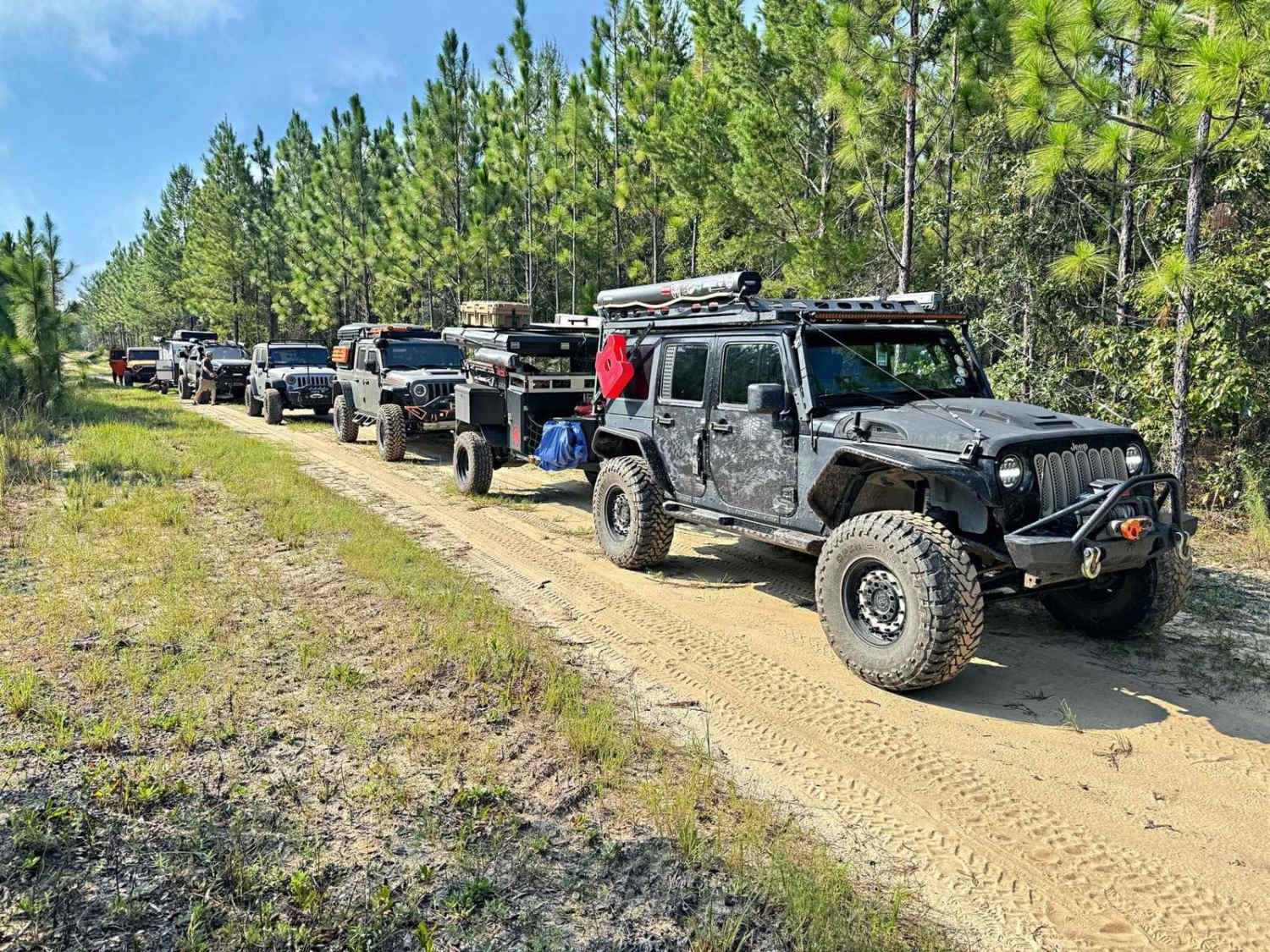Bullard Altamaha River Loop