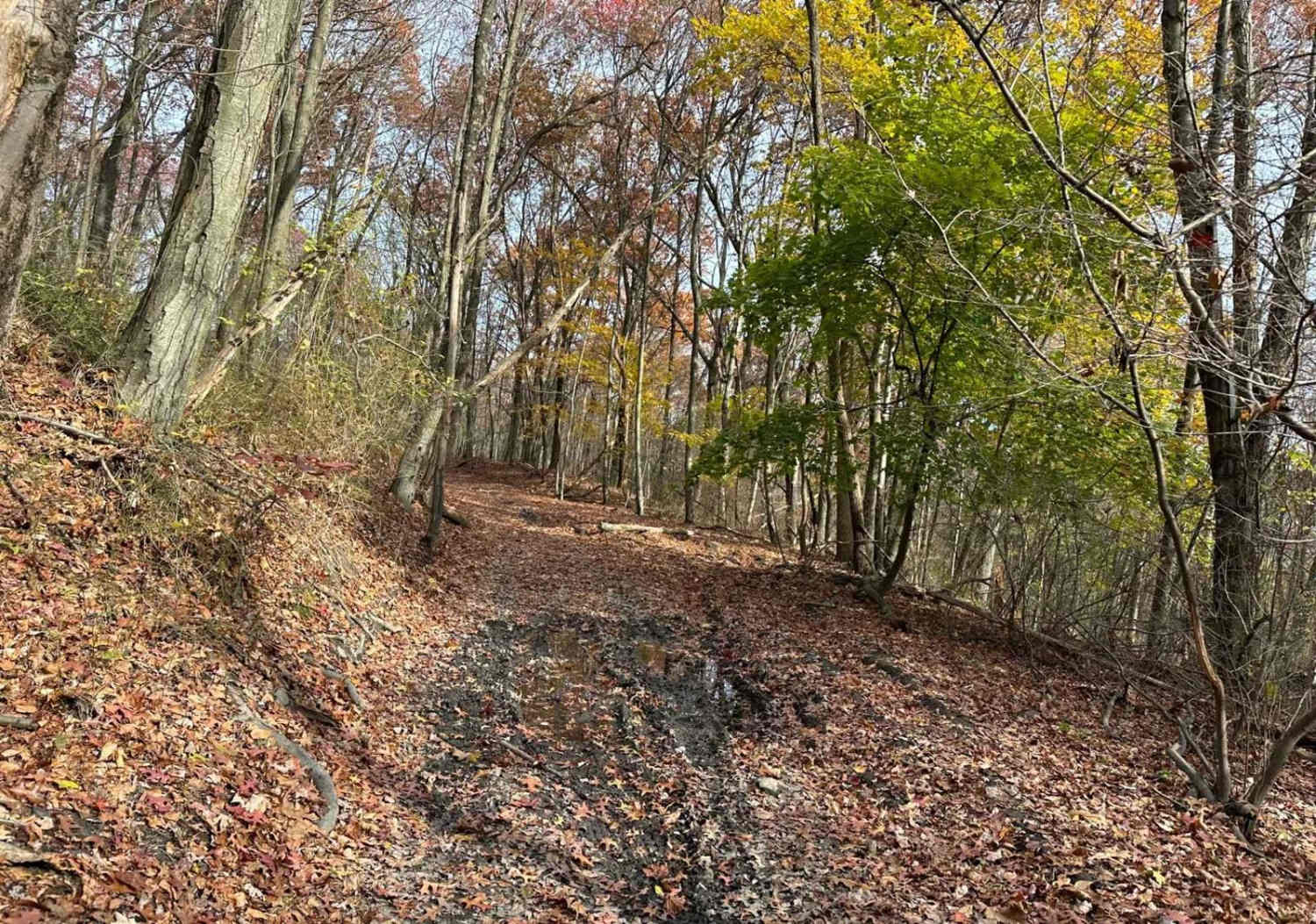 Ashland 150