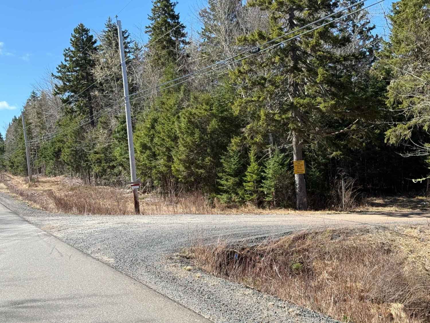 Fire Road