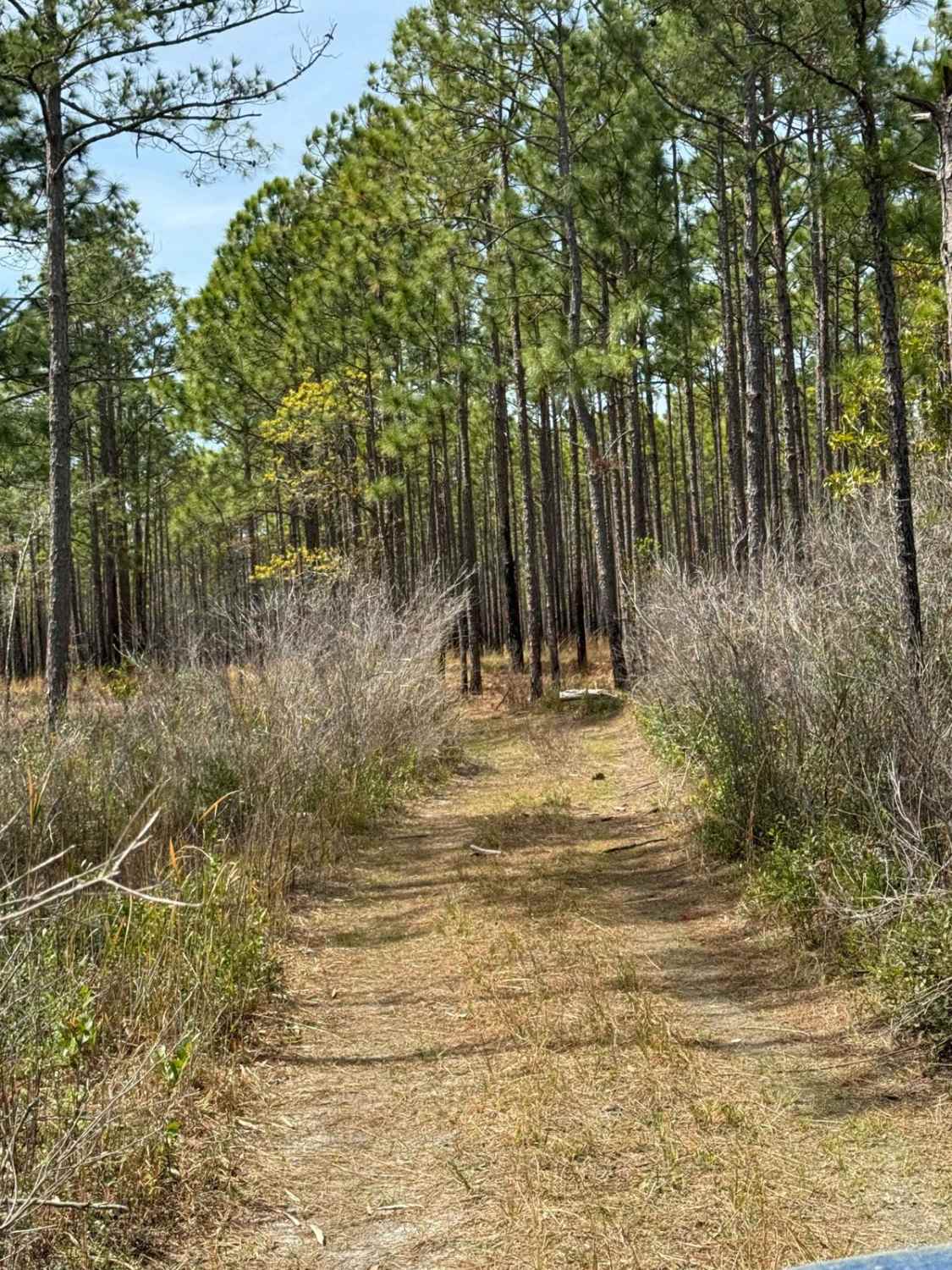 Pringle Road Spur 1