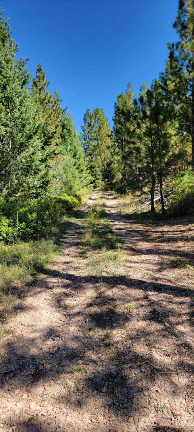 Blue Creek NF9738