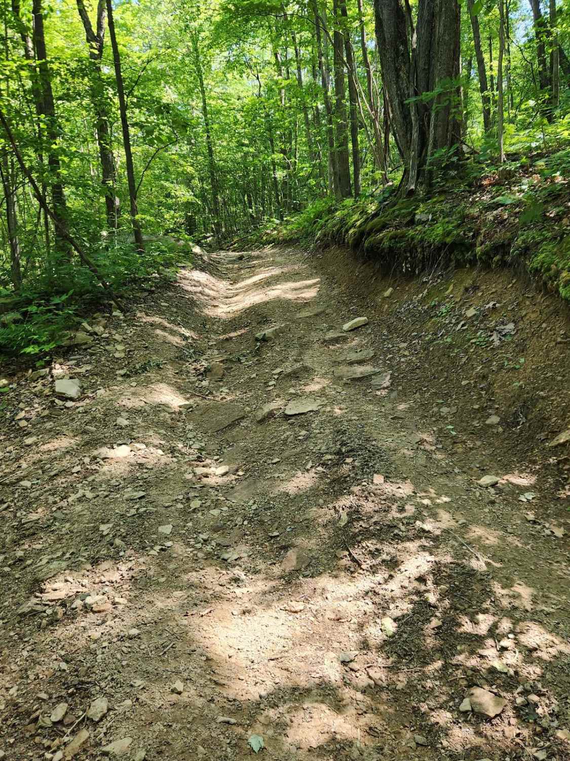 Trail 2C - Rock Run Recreation Area