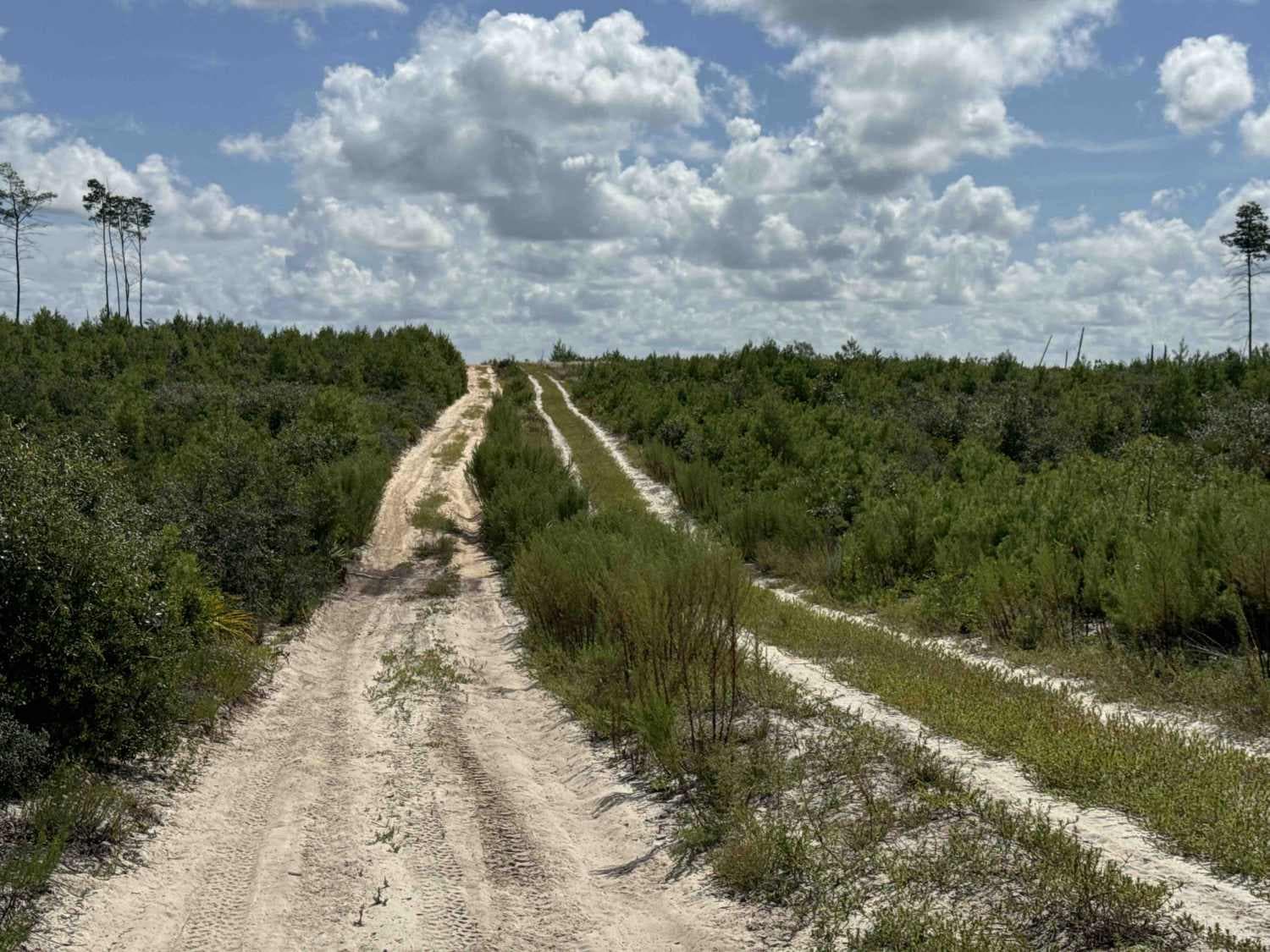 Lam Horse Trail - ONF 22-0.3A