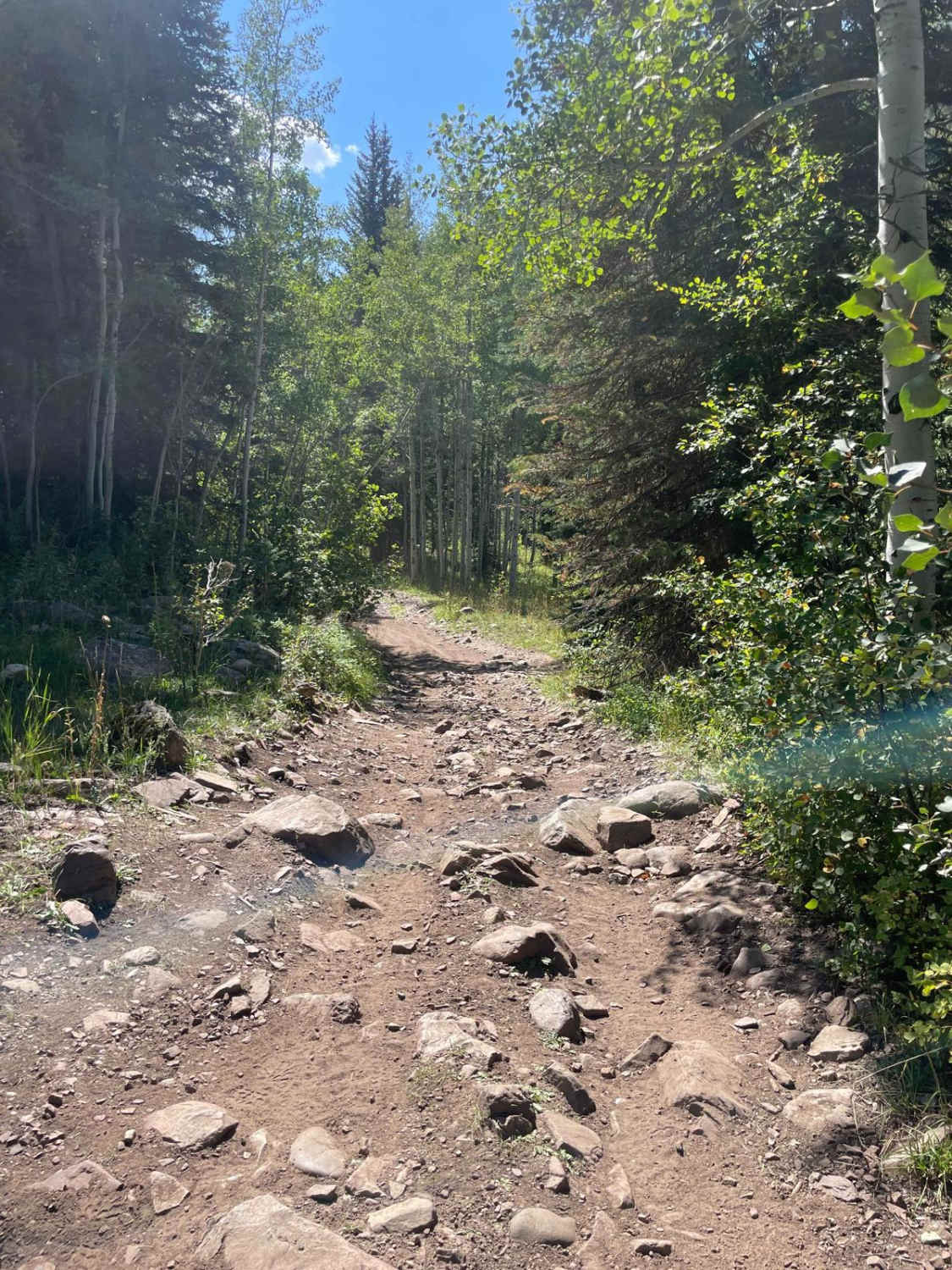 South Fork Weber - FR 031