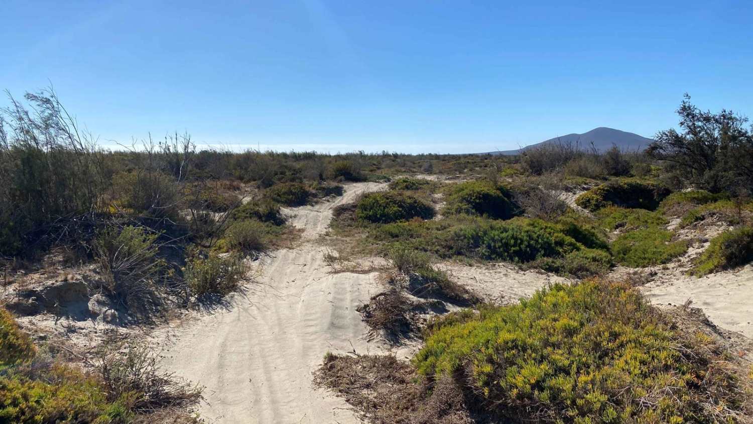  Mision Santa Maria Dunes