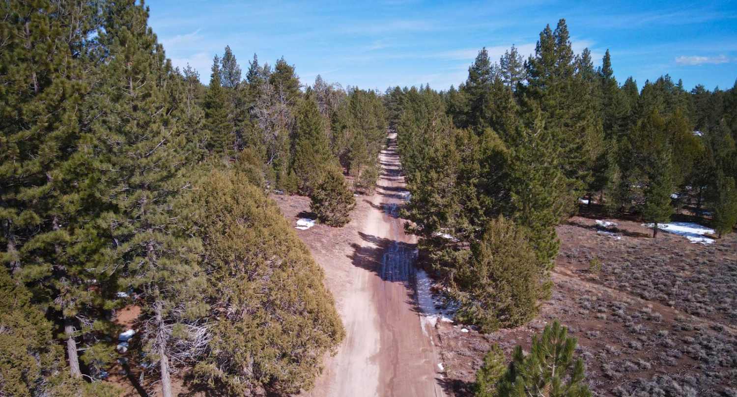 Holcomb Valley - 3N16