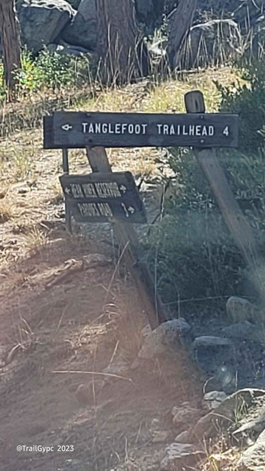Tanglefoot Canyon