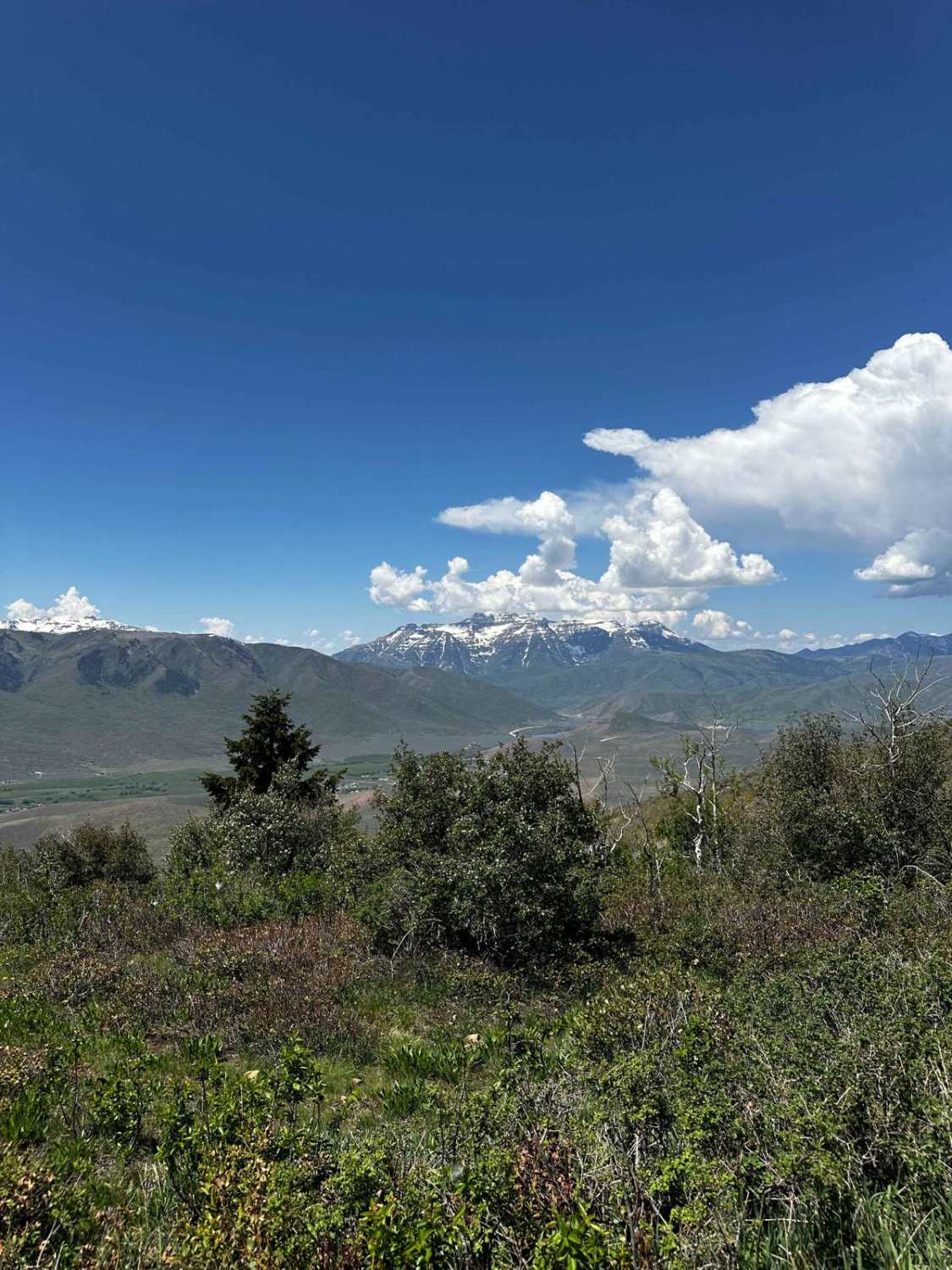 Wallsburg Ridge Trail