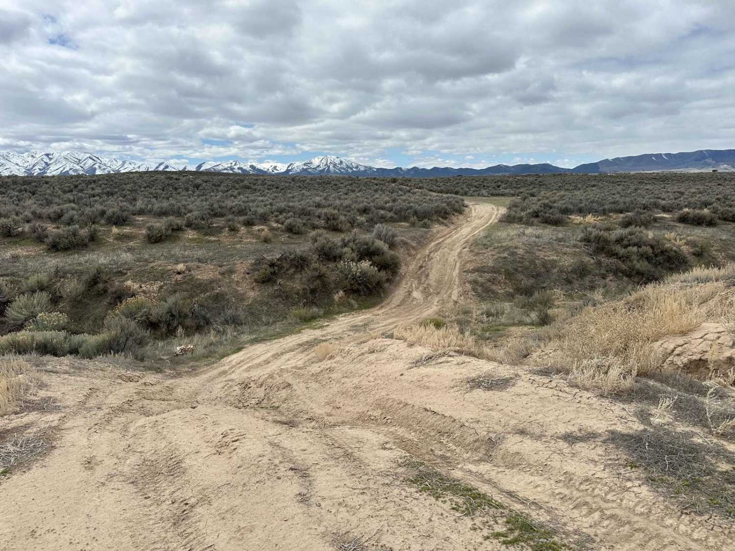 Rattlesnake Ravine
