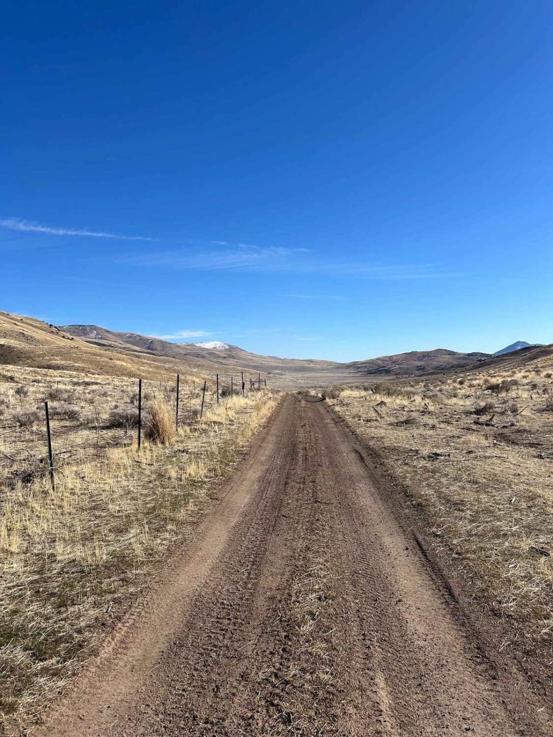 Wildhorse Track