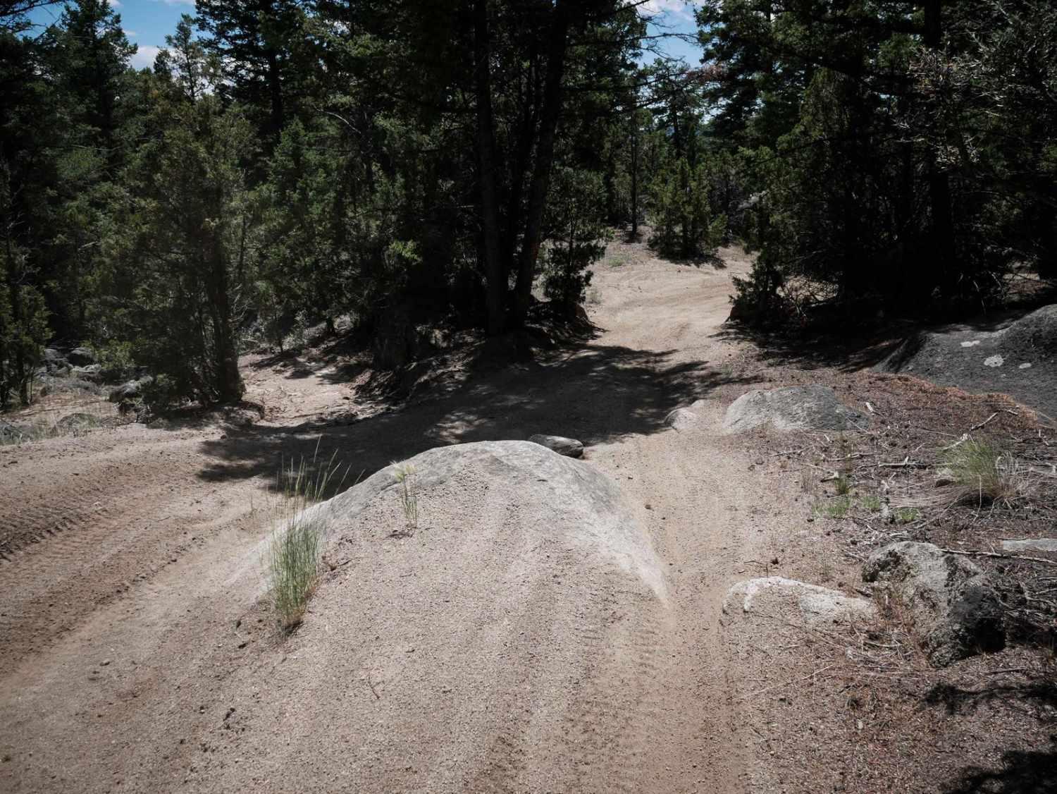 BLM 14  