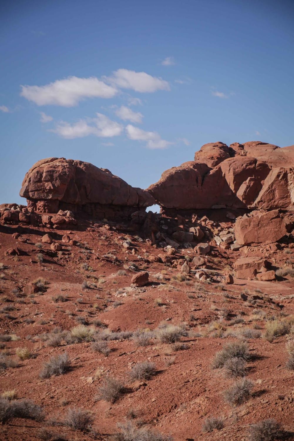 Arch Trail 