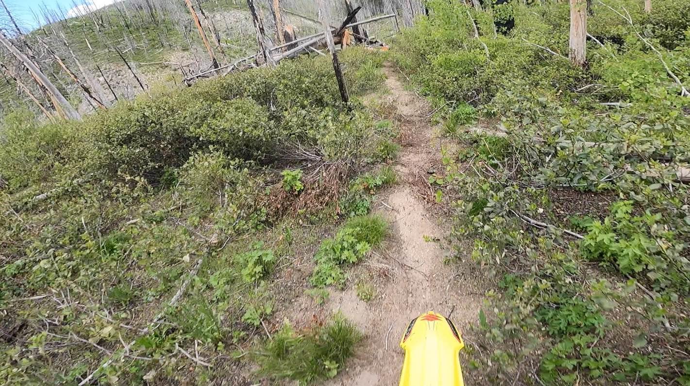 Camp Creek Trail