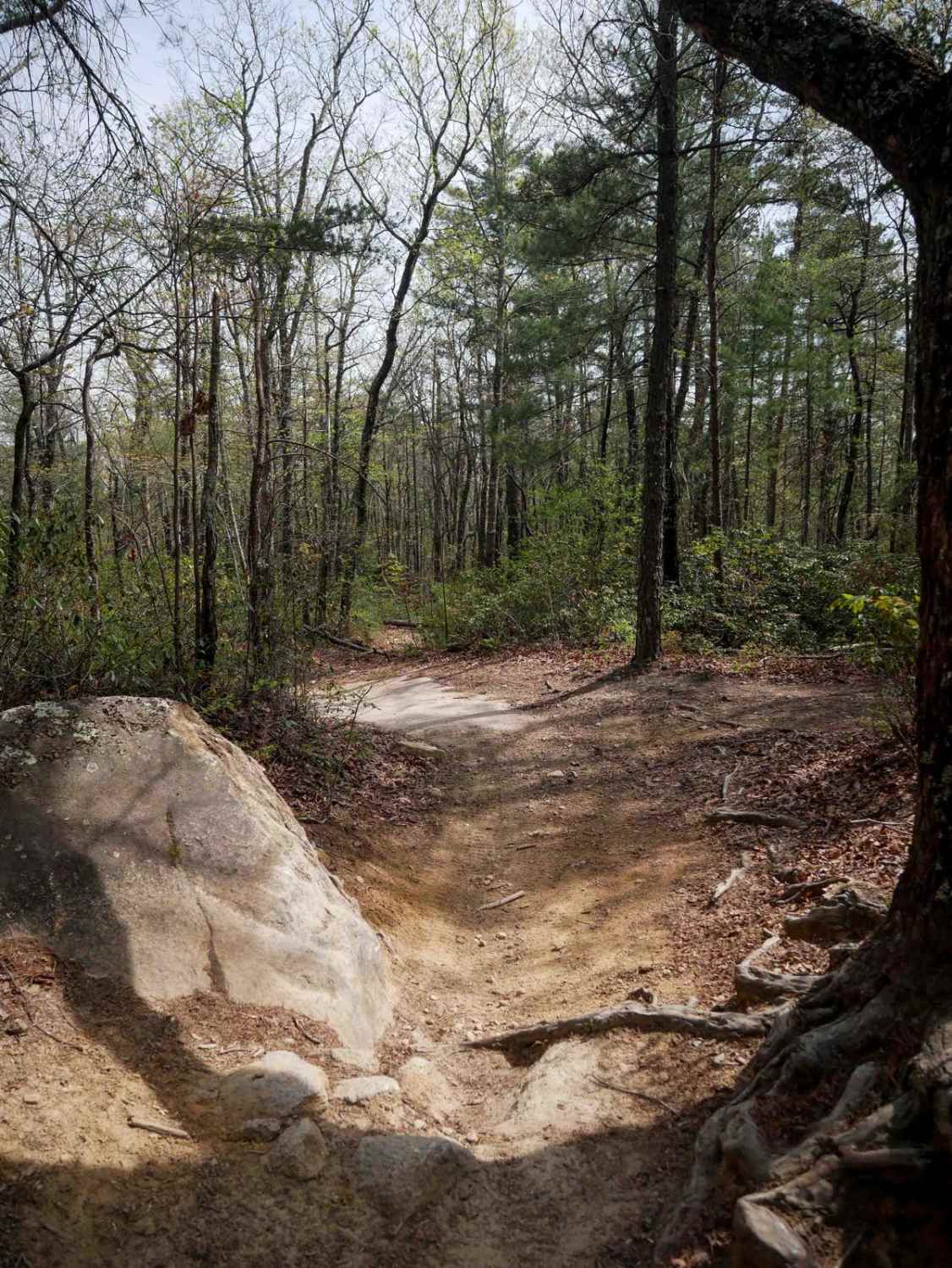 Trail 9 - 65 Inch