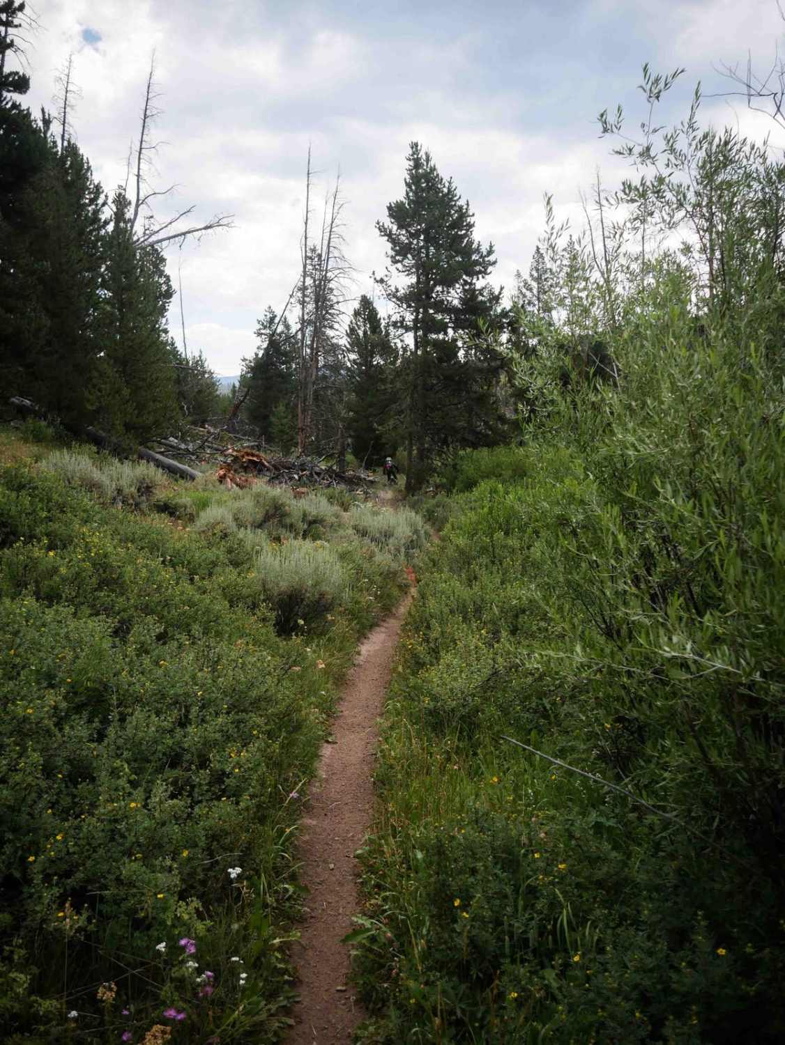 Radial Mountain Trail
