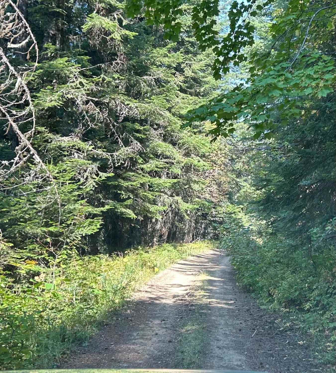 Solitaire Creek / Sob Creek 4WD
