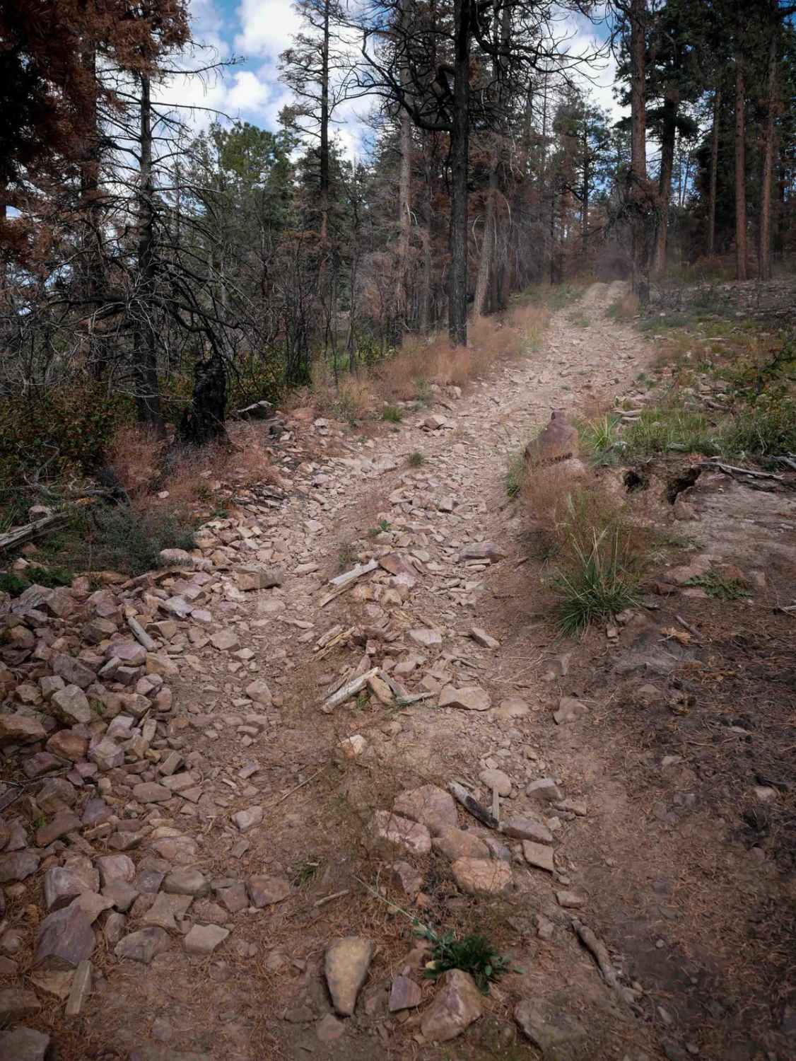 Trail Spring 