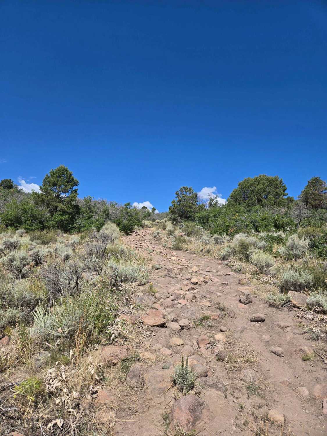 Trail 4994 - FSR 41750