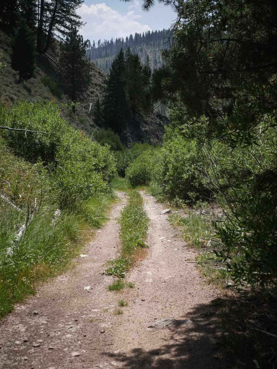 Kelly Creek ATV 
