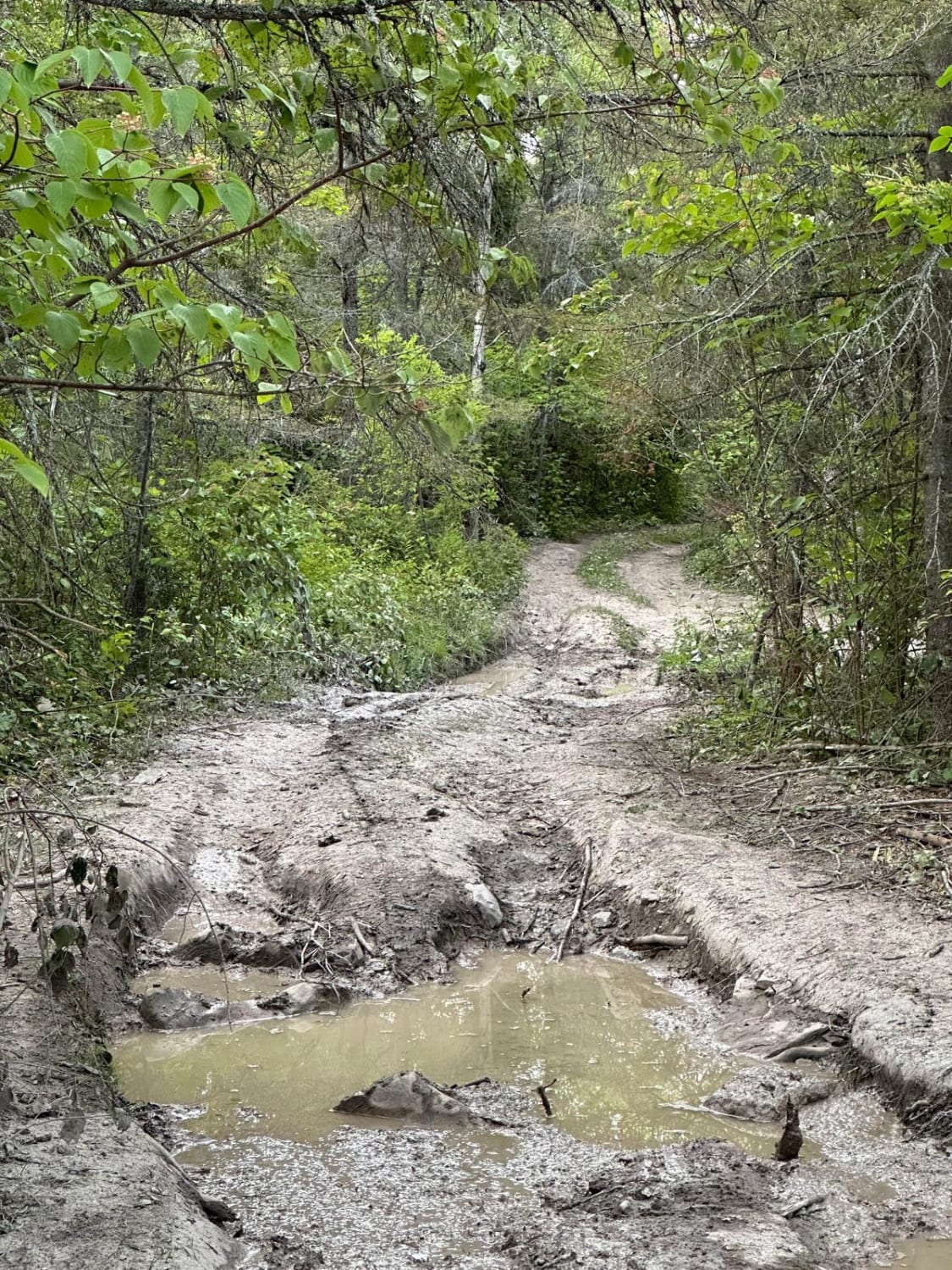 Fossil Ledge Loop