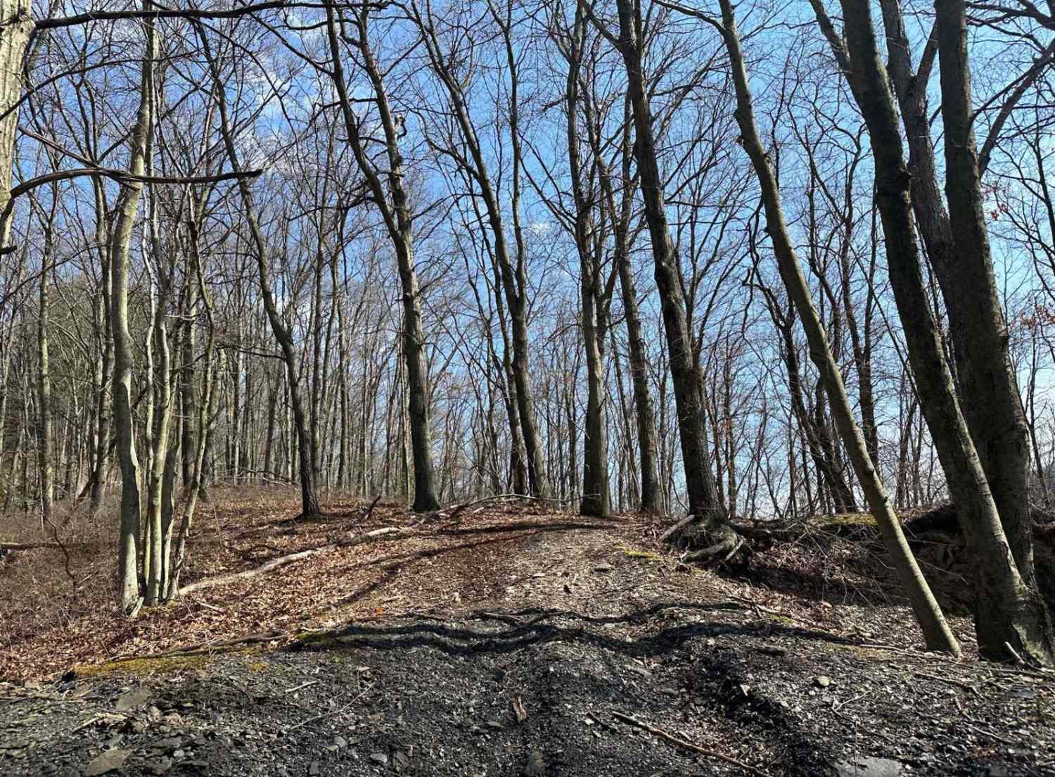 St. Keirns Single Track 6