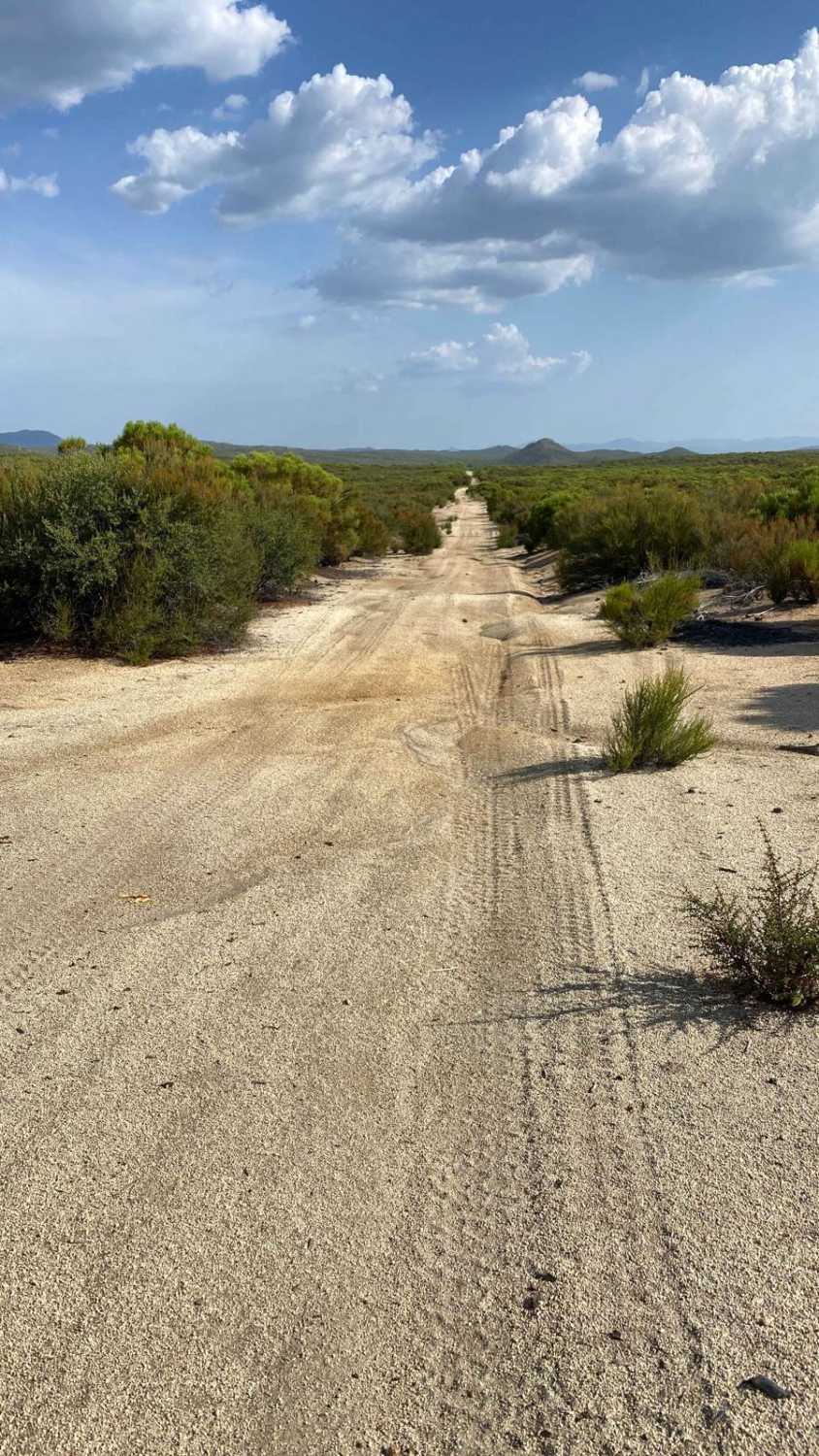 Cut-Off to Original Camino a La Laguna Hanson