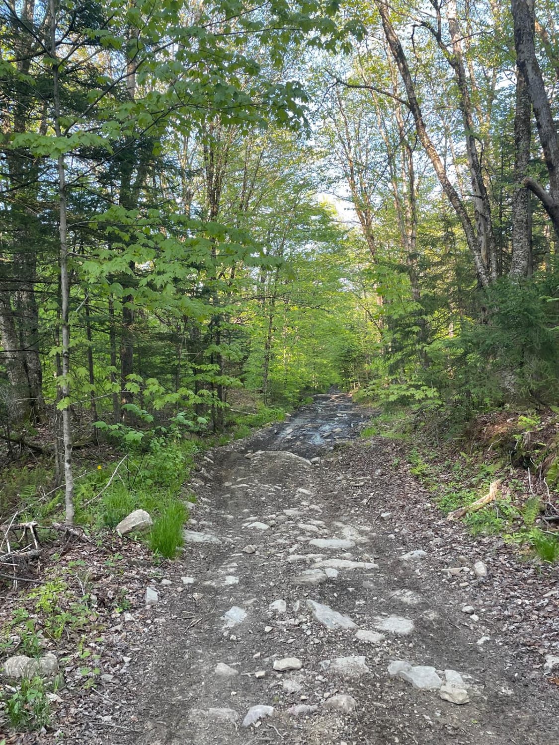 Old Stage Trail 