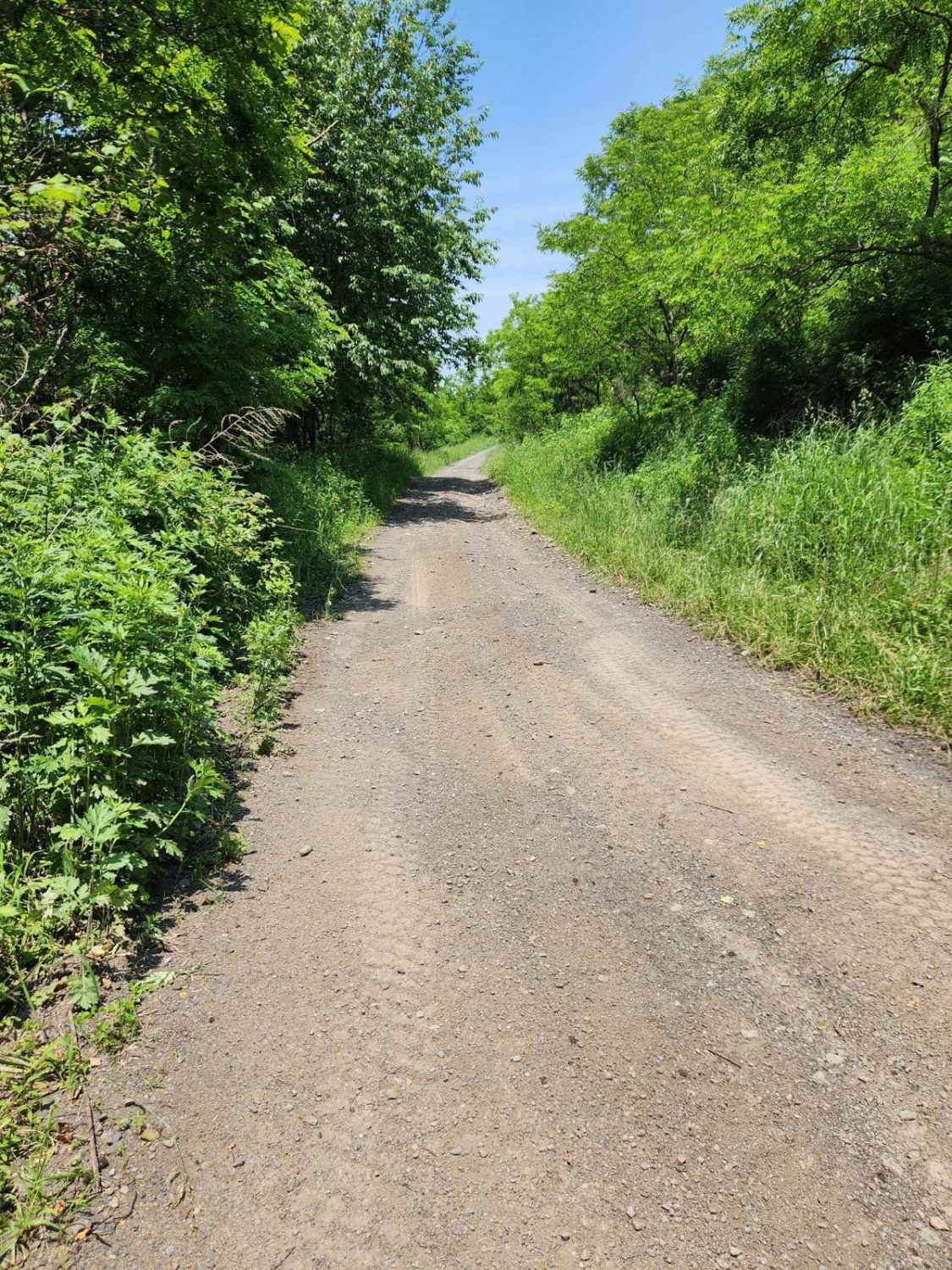 Rock Pile Drive - Rock Run Recreation Area