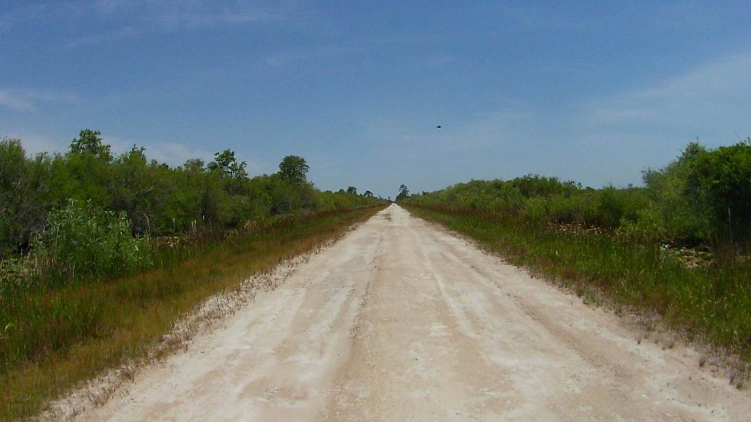 Tom Gunter Road