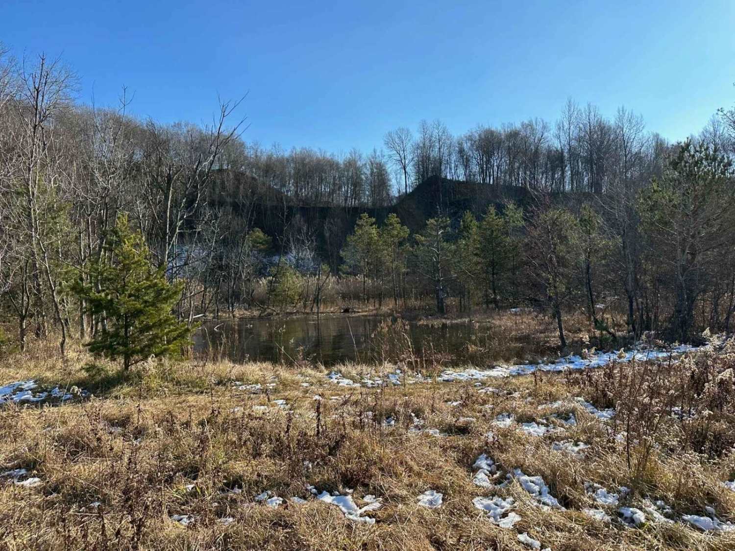 Locust Gap 61