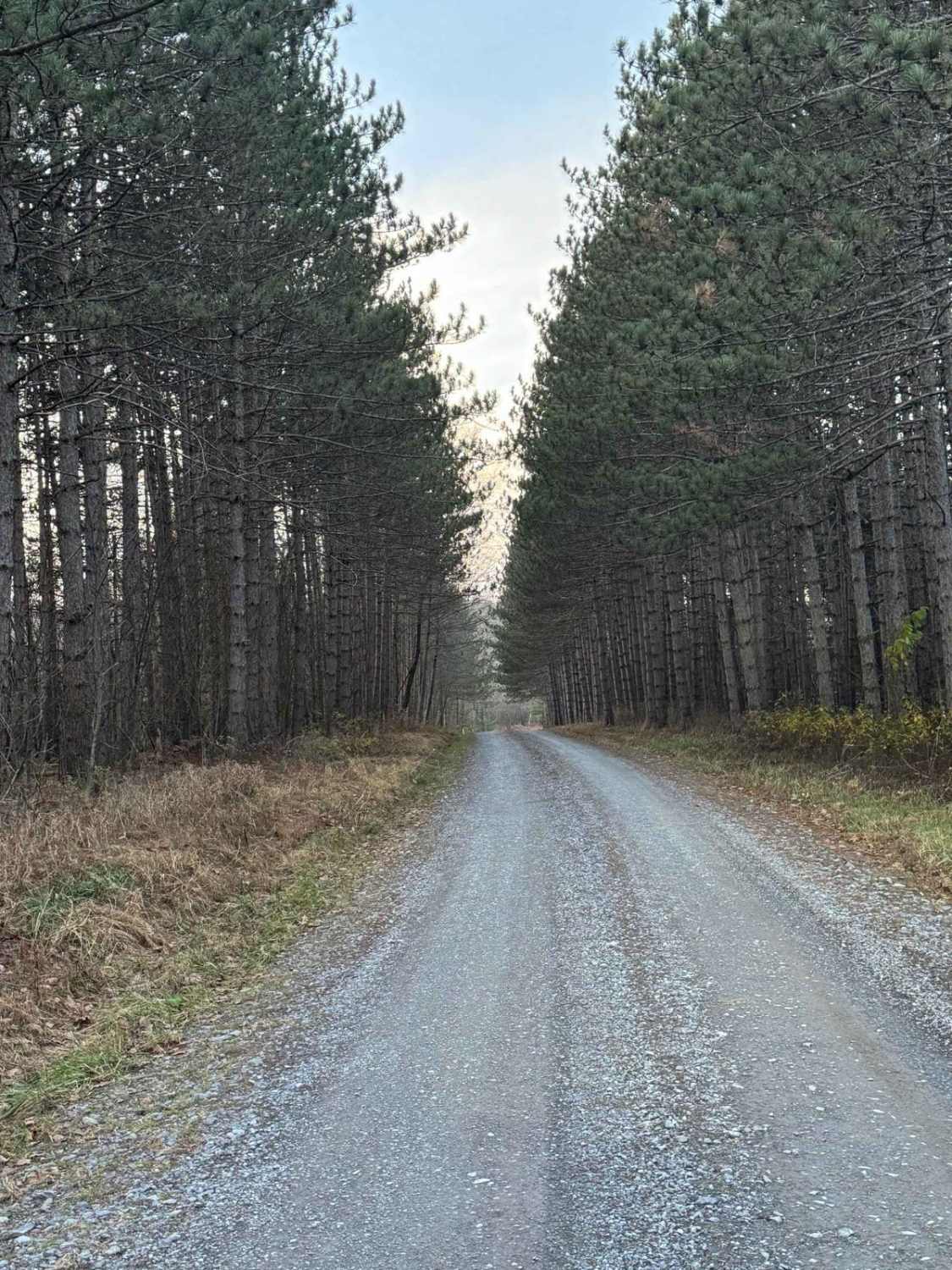 Jews Run Road