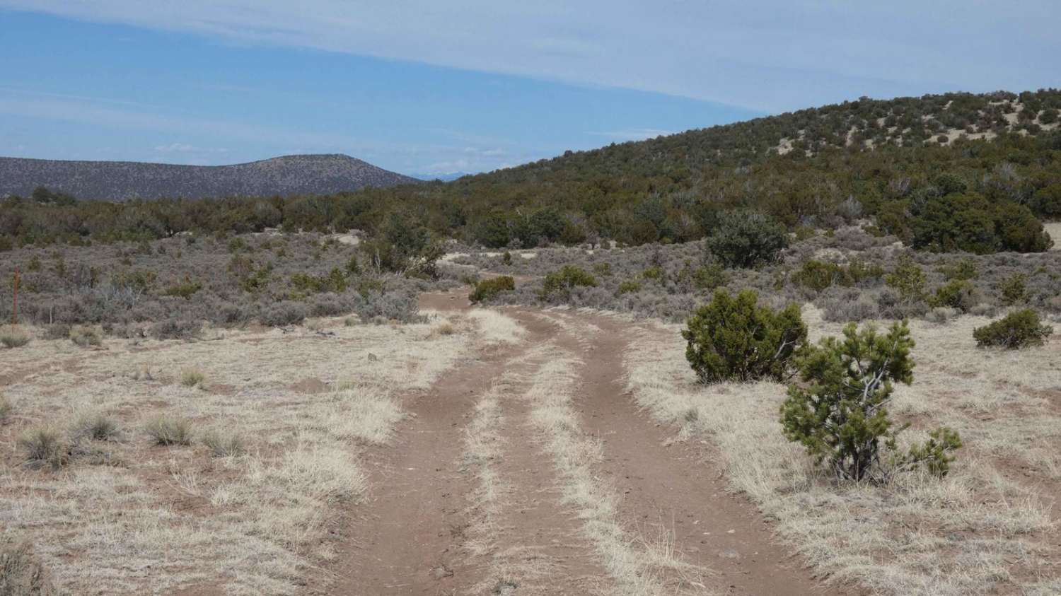 Twin Hills Loop