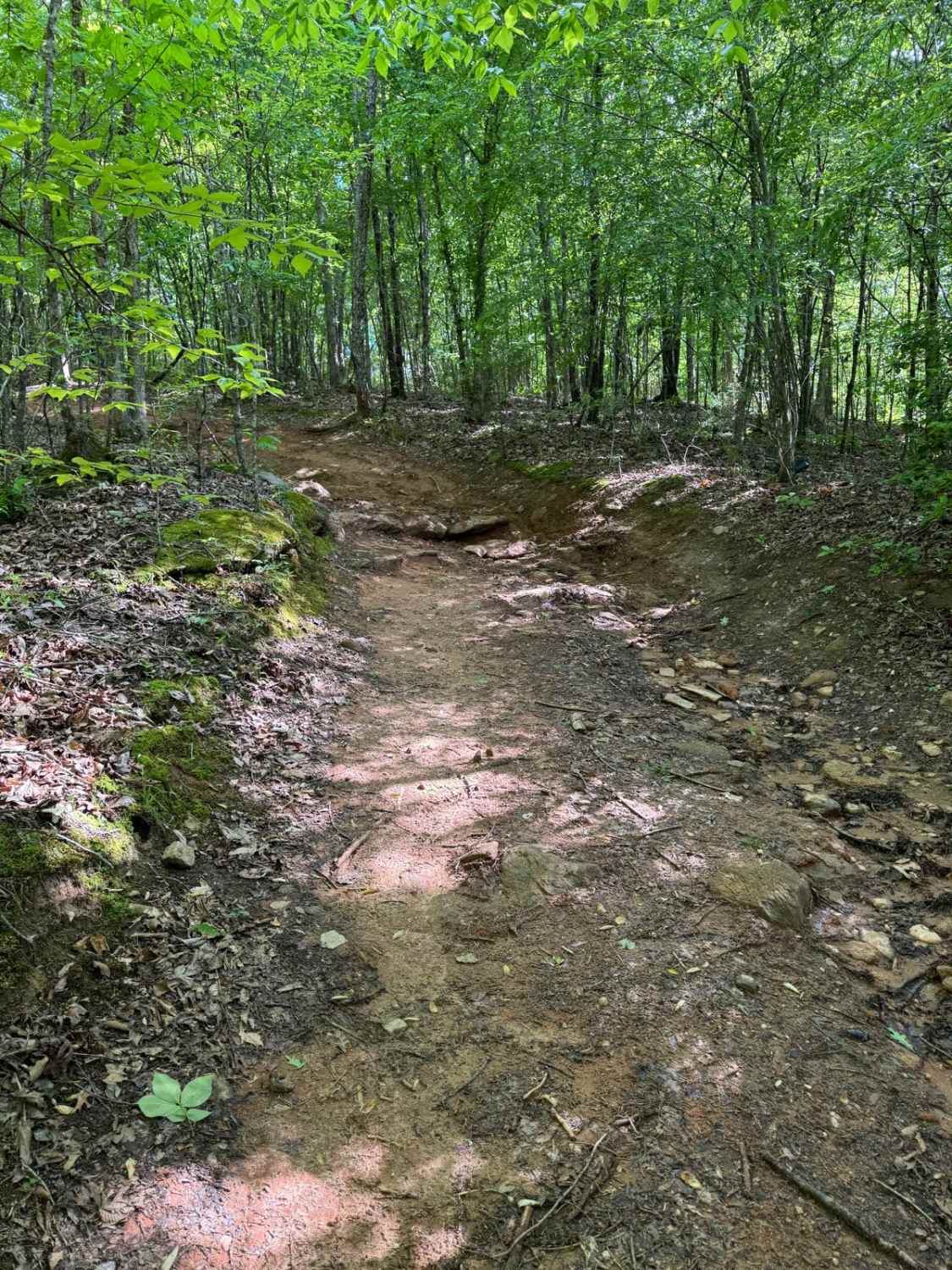 Hill 5