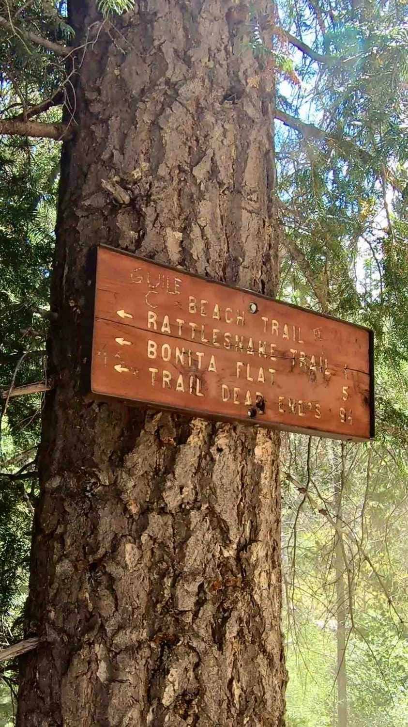 Rattlesnake Creek