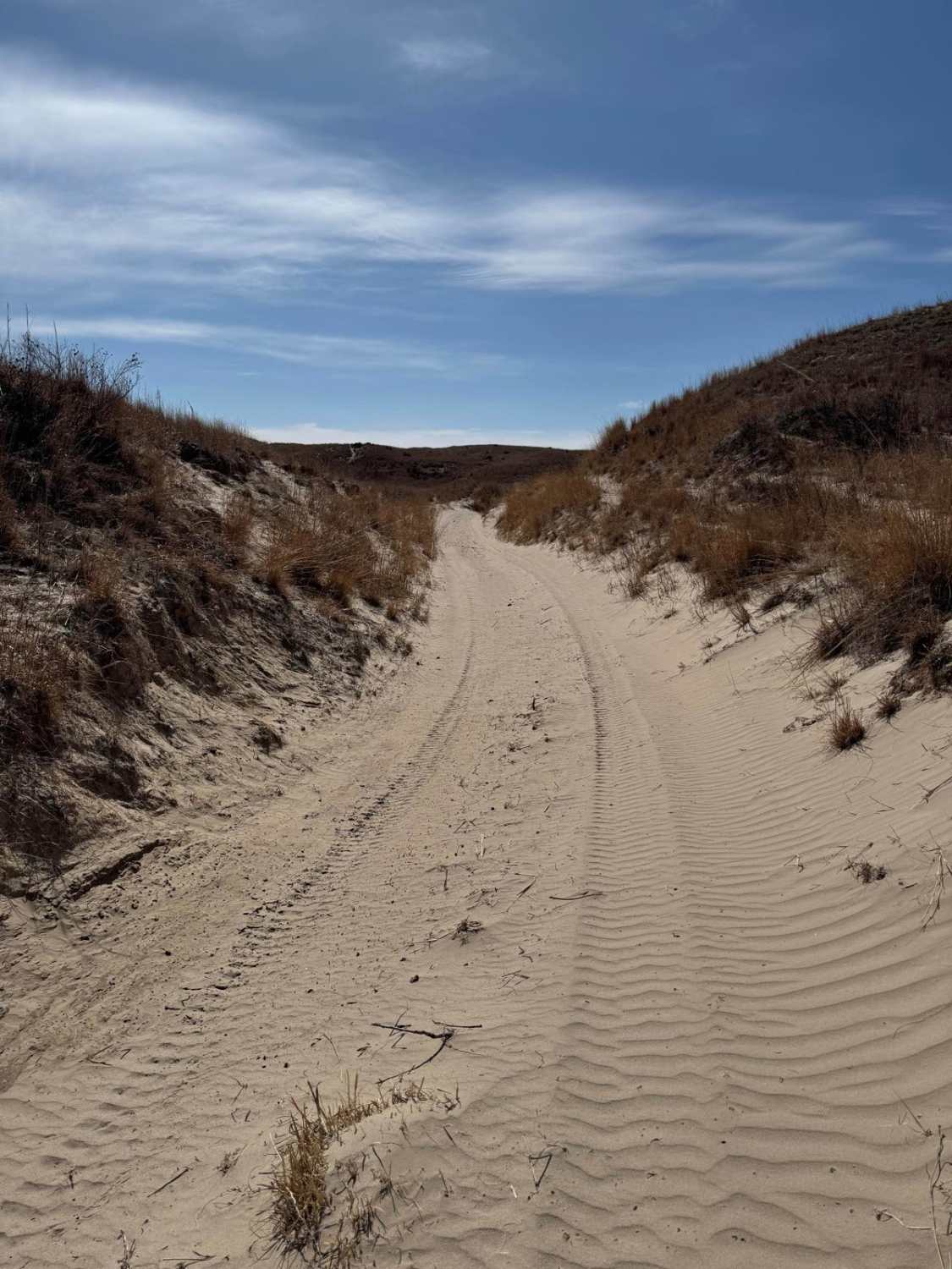 Forest Road 228 - Figard Trail