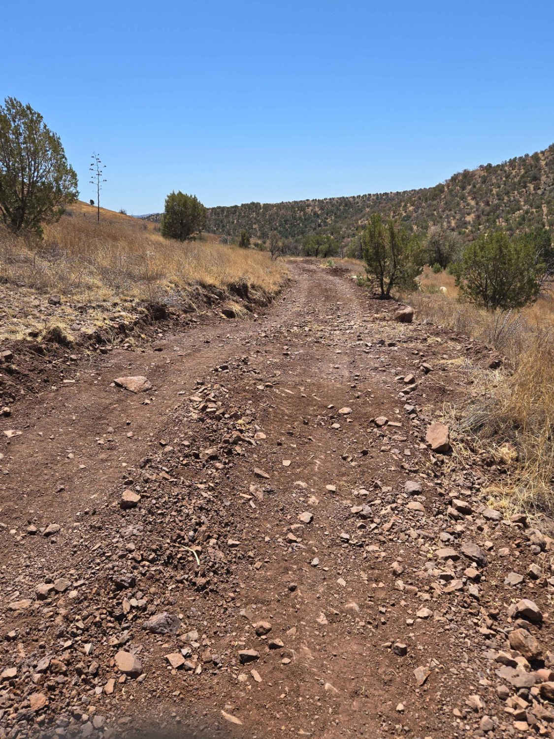 Hog Canyon Side Trail